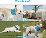 Dog Cooling Bandana Ice Pet Cooling Collar for Hiking Traveling Pet Supplies - V.I.P Digital Presence