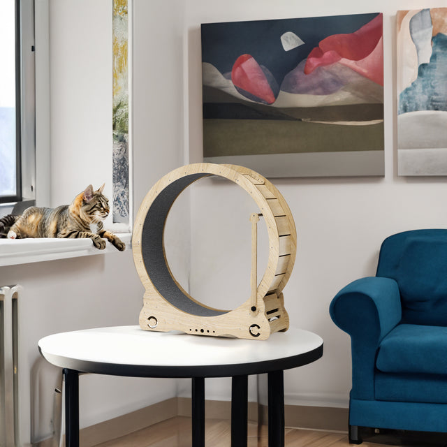 Indoor cat treadmill with carpet, tear device and latch natural wood, 39.4 inches long x 13.2 inches wide x 41.3 inches high - V.I.P Digital Presence