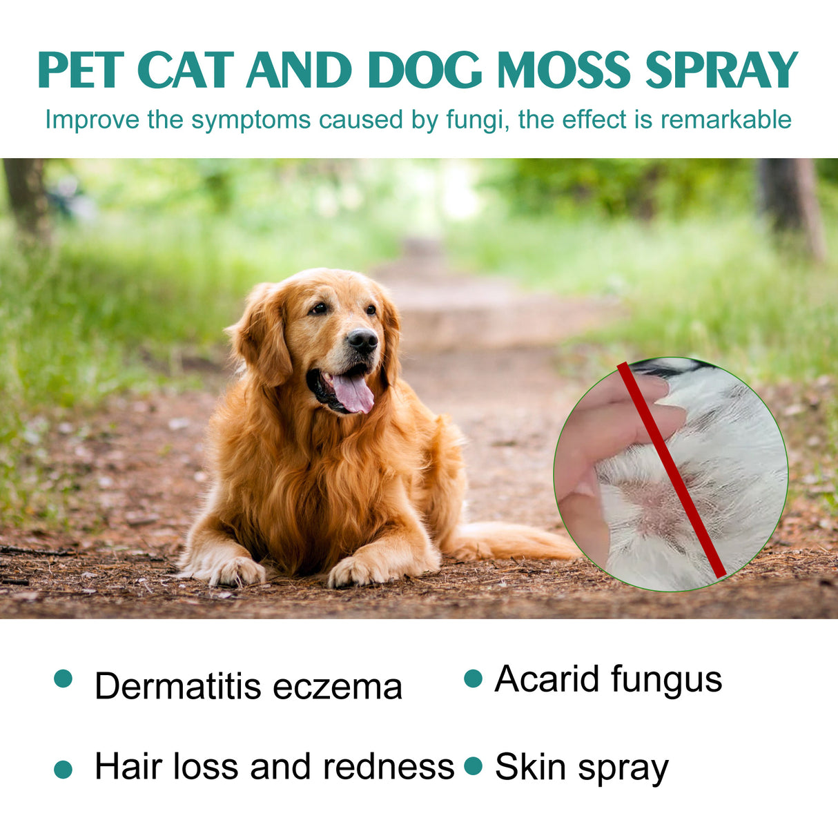 Pet Skin Medicine Spray, Cats And Dogs To Remove Mite Skin Itching To Remove Red Hair To Itch - V.I.P Digital Presence