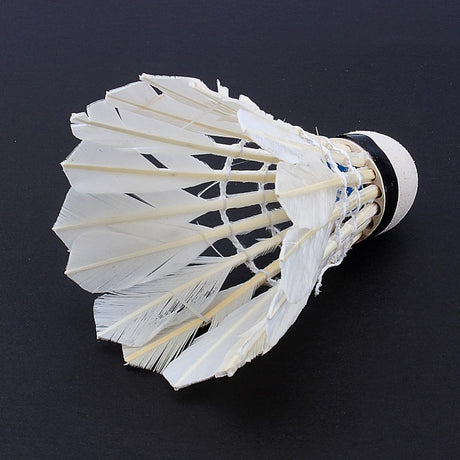 12pcs/lot Badminton - V.I.P Digital Presence