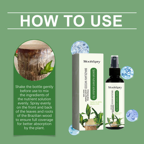 Nutrient Solution For Plants Green Plant Fertilizer Nutrient Solution For Green Leaf Pot Brazilian Wood Fertilizer - V.I.P Digital Presence