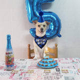Pet Birthday Set  Triangle Scarf Hat Pet Party Decoration Styling Outdoor Creative - V.I.P Digital Presence