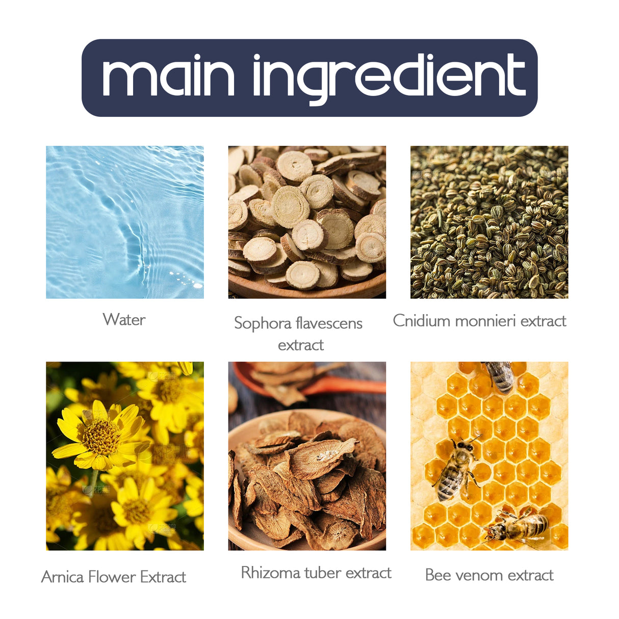 Bee Venom Joint Ointment, Relieves Hands Feet Bones Knees Lumbar Spine Sedentary Joint Pain Body Care Ointment - V.I.P Digital Presence