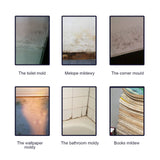 Mold Remover Spray, Ceiling Bathroom Tile Wall Multi-Effect Cleaning Decontamination And Mildew Removal Spray - V.I.P Digital Presence