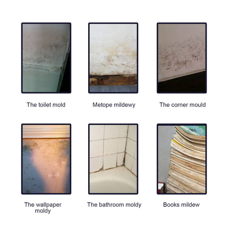 Mold Remover Spray, Ceiling Bathroom Tile Wall Multi-Effect Cleaning Decontamination And Mildew Removal Spray - V.I.P Digital Presence