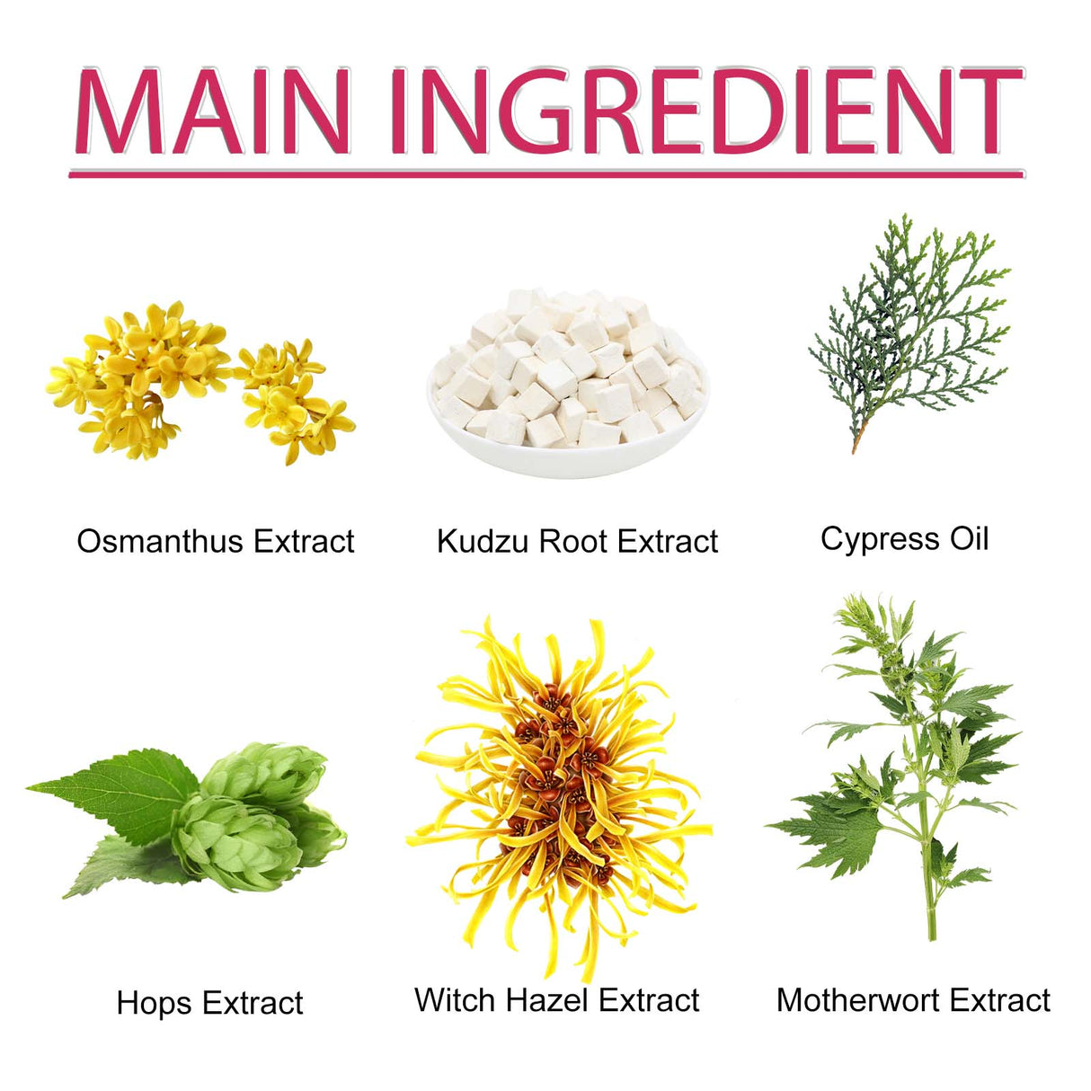 Breast & Buttock Enhance Patch, Plump Chest Firm And Full To Highlight The Curve Of The Hip Body Shaping Patch - V.I.P Digital Presence