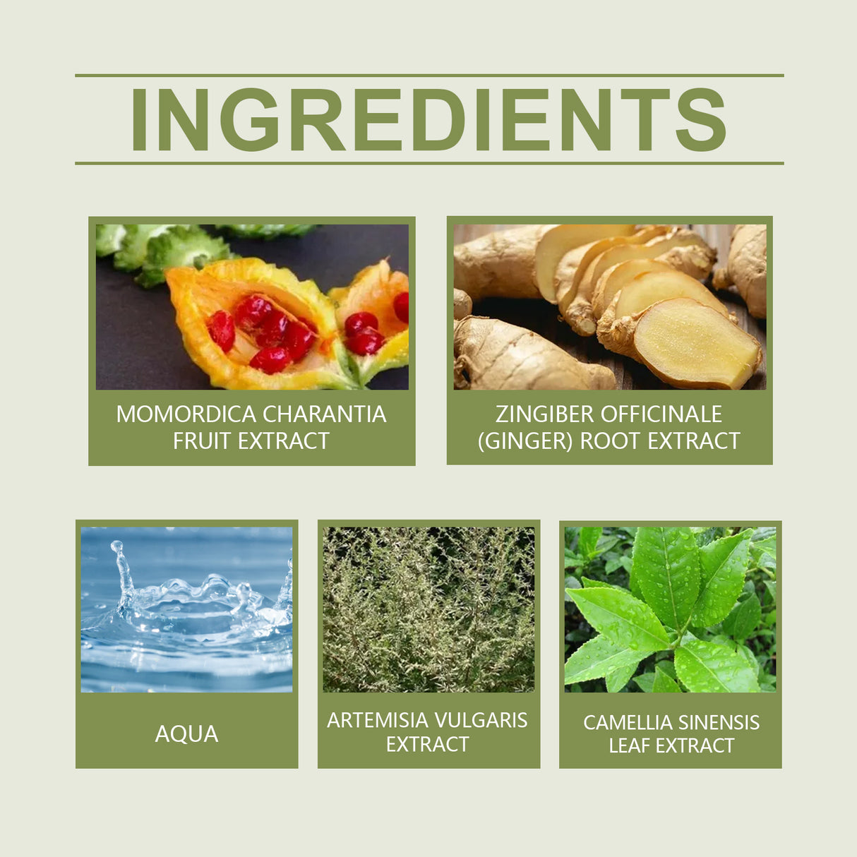 Body Care Cream, Gentle Moisturizing Moisturizing Body Skin Light Body Massage Treatment Cream - V.I.P Digital Presence