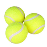 Dog Toy Rubber Elastic Tennis Ball Small and Medium sized Dog Bite Dog Toy - V.I.P Digital Presence