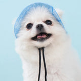 Fashion Dog Hat Adjustable Pet Bucket Hats with Ear Holes Summer Outdoor Round Brim Sun Hat for Samll Dogs Cats Pet Supplies - V.I.P Digital Presence