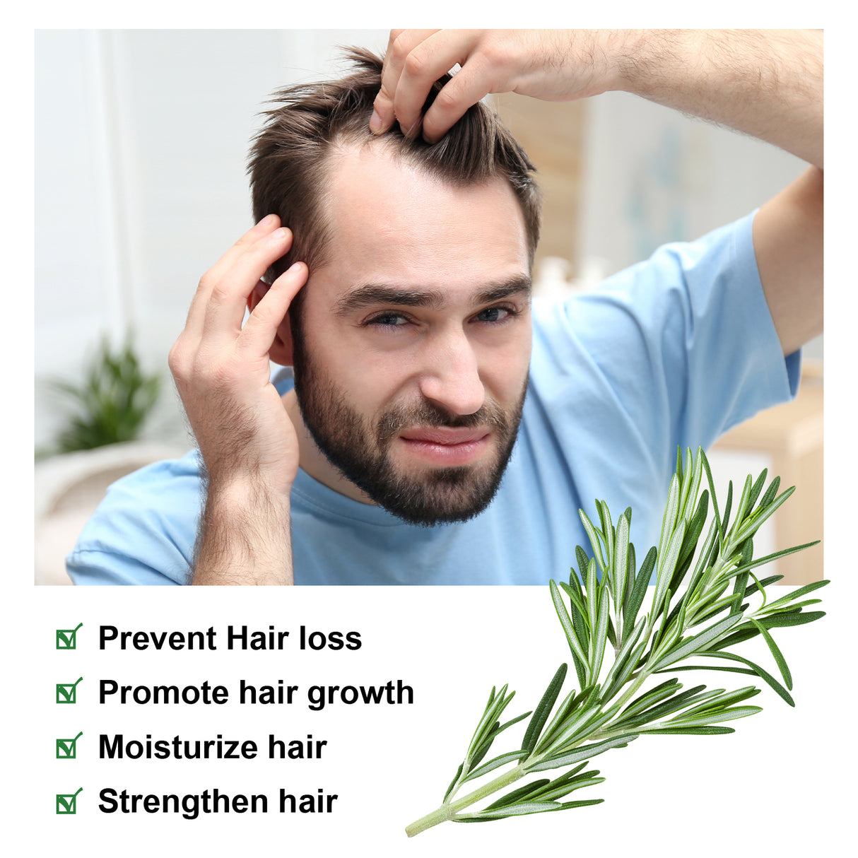 Rosemary Essential Oil, Repair Solid Hair Strong And Moisturizing Hair Roots Thick And Supple Hair Care Essential Oil - V.I.P Digital Presence