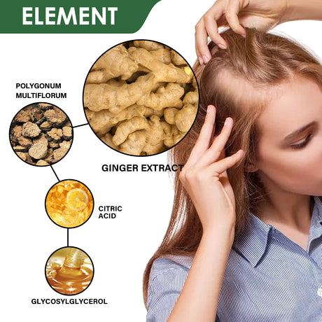 Ginger Hair Growth Ointment, Moisturize And Thicken Hair, Repair Damaged Hair And Prevent Hair Loss Hair Care Cream - V.I.P Digital Presence