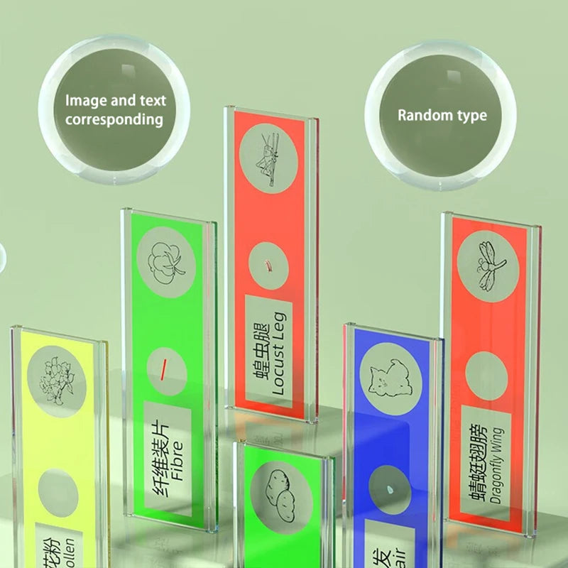 Handheld portable with screen can take photos microscope children's toys can see bacteria 1000 times - V.I.P Digital Presence