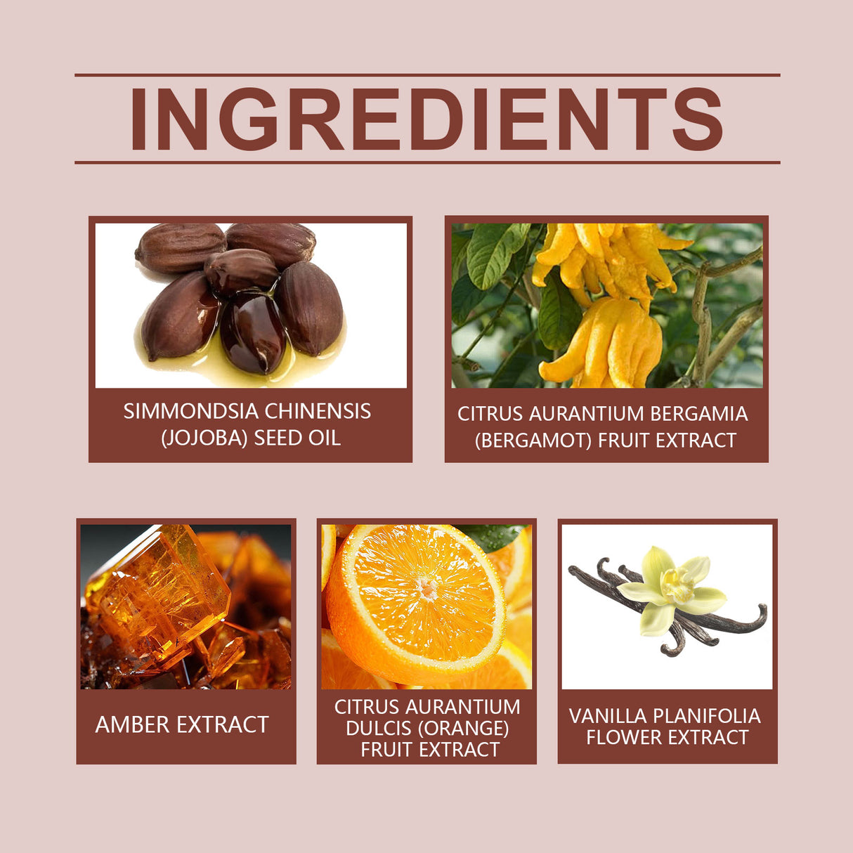 Jojoba Perfume Oil Jojoba Perfume Ball Cologne Lasting Fragrance Fresh Fragrance Light Elegant Perfume - V.I.P Digital Presence