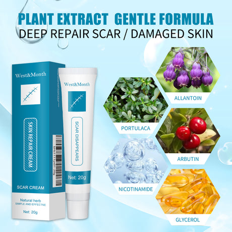 Skin Repair Cream Gentle Moisturizing Hydrating Moisturizing Repair Skin Care Repair Cream - V.I.P Digital Presence