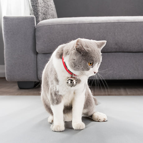 Claw Print Bone Alloy Bells for Pet Collars - Supplies for Dogs & Cats - V.I.P Digital Presence