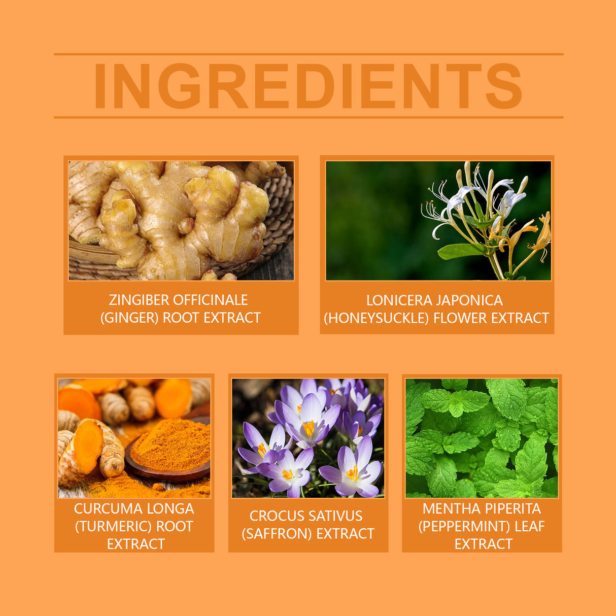 Leg Care Patch To Relieve Leg Discomfort, Blue Veins And Bumps Mild Formula To Protect Leg Vitality - V.I.P Digital Presence