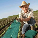 Degradable lawn seedling mat (10×0.7ft) for playgrounds, flower beds, greenhouse landscapes. - V.I.P Digital Presence