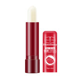 Fruit Essence Lip Balm Moisturizing Hydrating Anti-Chap 4g Lip Balm - V.I.P Digital Presence