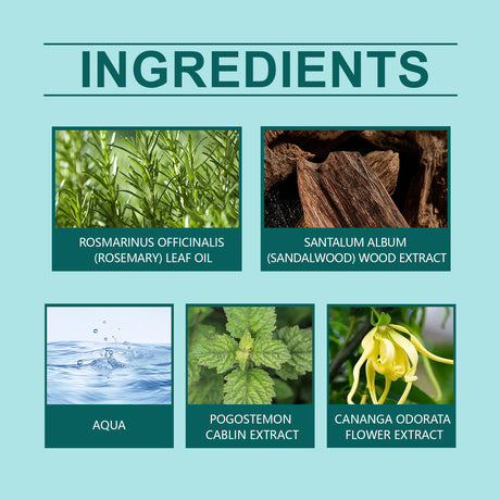 Charm Ball Perfumes Natural Light Fragrance Retain Pheromones Sex Partners Daily Dating Niche Fragrance - V.I.P Digital Presence