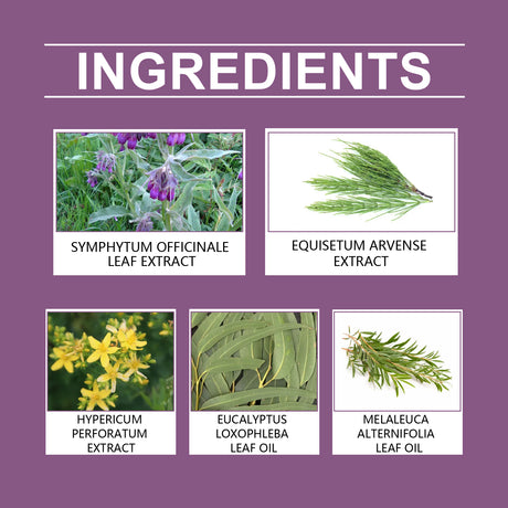 Herbal Joint Care Ointment Relieves Discomfort By Massaging Joints And Knees With A Treatment Cream - V.I.P Digital Presence