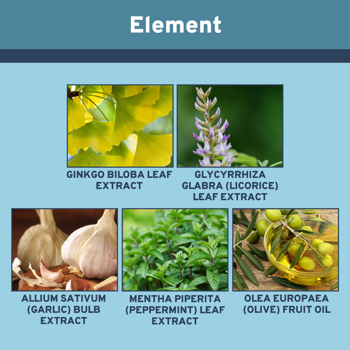 Ear Care Serum, Relieve Inner Ear Obstruction Ear Ringing Ear Discomfort Cochlear Ear Kang Care Solution - V.I.P Digital Presence