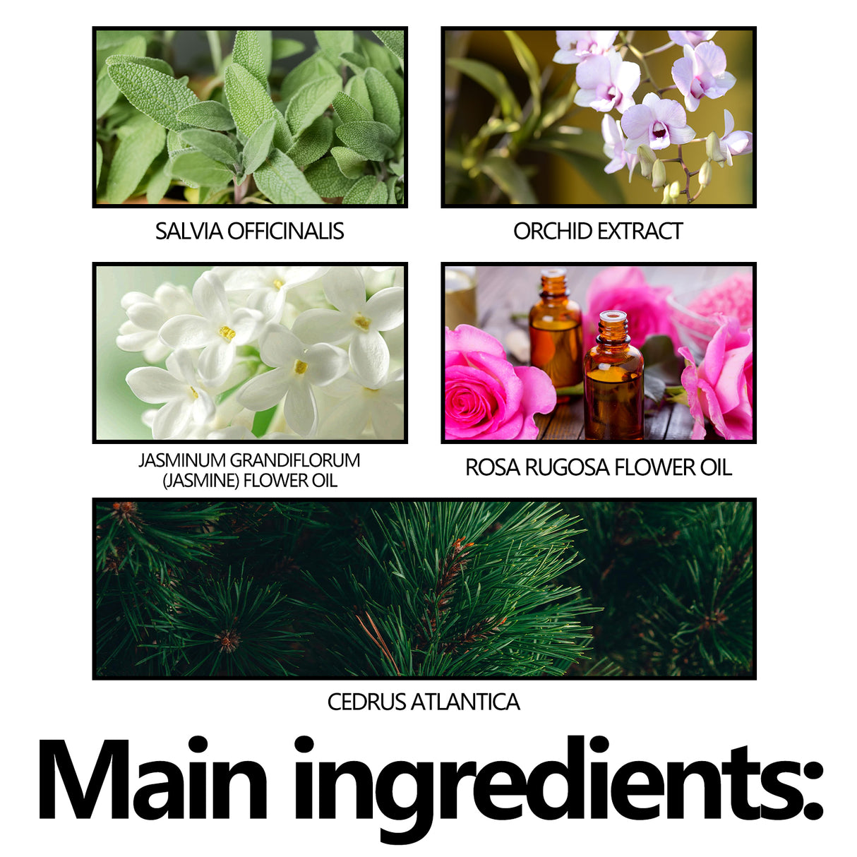 Control Odor Stick, Clean Armpit Odors Fresh And Long-Lasting Portable Body Stick - V.I.P Digital Presence