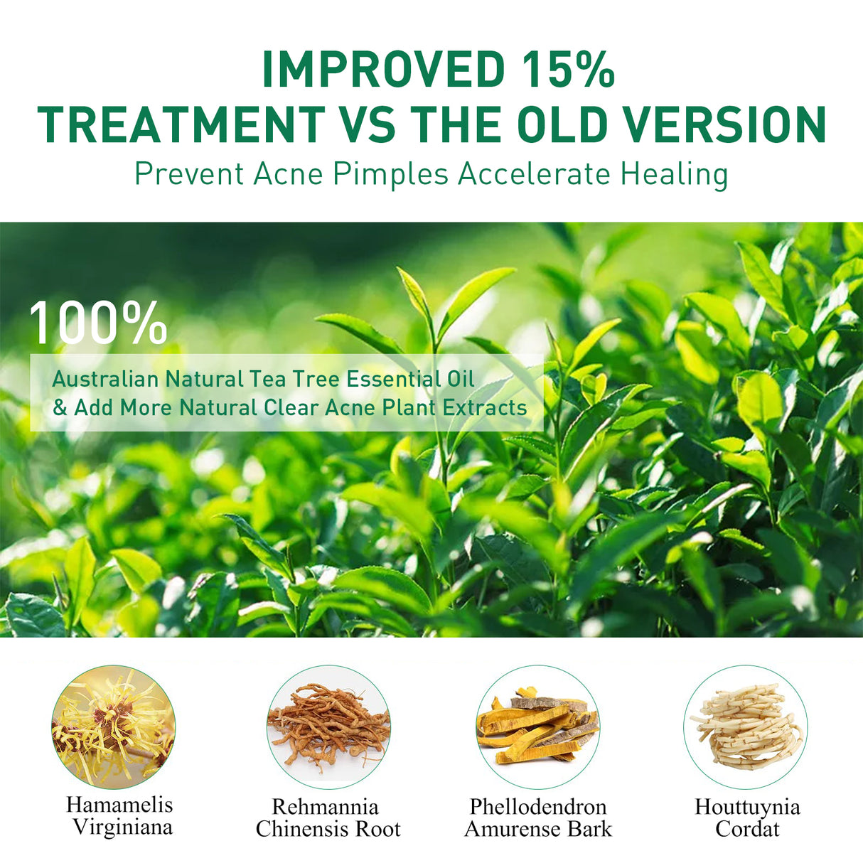 Tea Tree Oil Acne Serum, Remove Acne, Clear Acne, Repair Skin, Lighten Acne Printing Face Essence - V.I.P Digital Presence