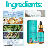 Hair Care Essence Moisturizes Hair And Easily Absorbs Strong, Supple And Scalp Care Essential Oil - V.I.P Digital Presence