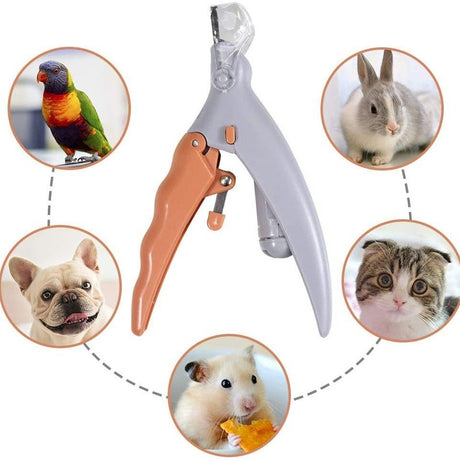 Professional LED - lit pet nail clippers for cats and dogs. Toe - claw cutting tool, pet supplies. - V.I.P Digital Presence
