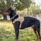 Tactical dog vest: for large dogs (German Shepherd, Golden Retriever) – training, military-style accessories. - V.I.P Digital Presence