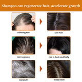 Rice Dense Hair Shampoo Deep Clean Thick Hair Moisturizing Hair Root Solid Hair Care Shampoo - V.I.P Digital Presence