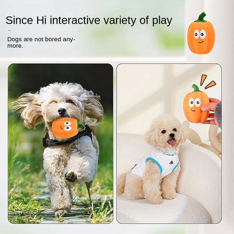 Pet Toy Latex Sound-emitting Pumpkin Realistic Cartoon Pumpkin Durable Dog Toy - V.I.P Digital Presence