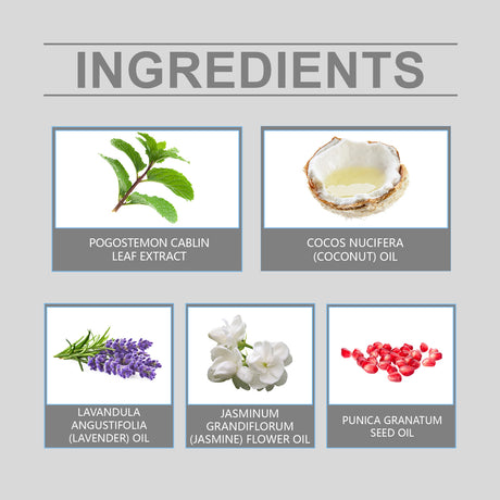 Pheromone Ball Perfume, Portable Fragrance For Men Fresh Charm Minority Jasmine Perfume - V.I.P Digital Presence