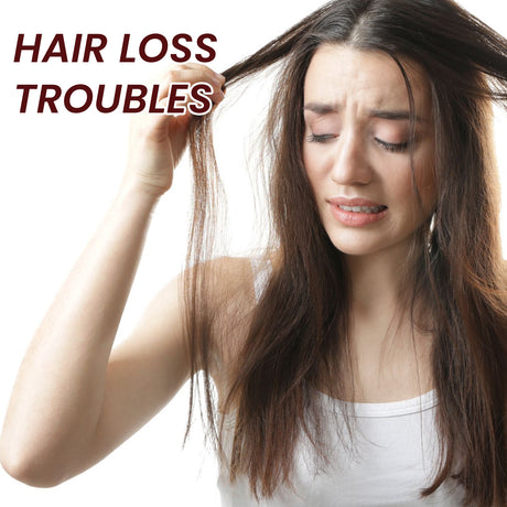 Hair Care Comb Scalp Massage Treatment Dry Hair Smooth No Tangles Hair Care Comb - V.I.P Digital Presence