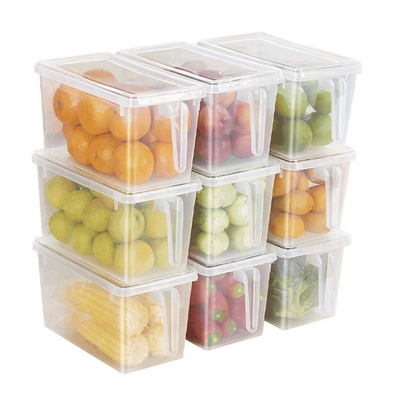 Food Storage Boxes With Lids And Handle - V.I.P Digital Presence