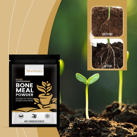 Moonspry Plant Root Powder, Garden Flower Plant Root Supplement Nutrition To Improve Soil Plant Nutrition Powder - V.I.P Digital Presence