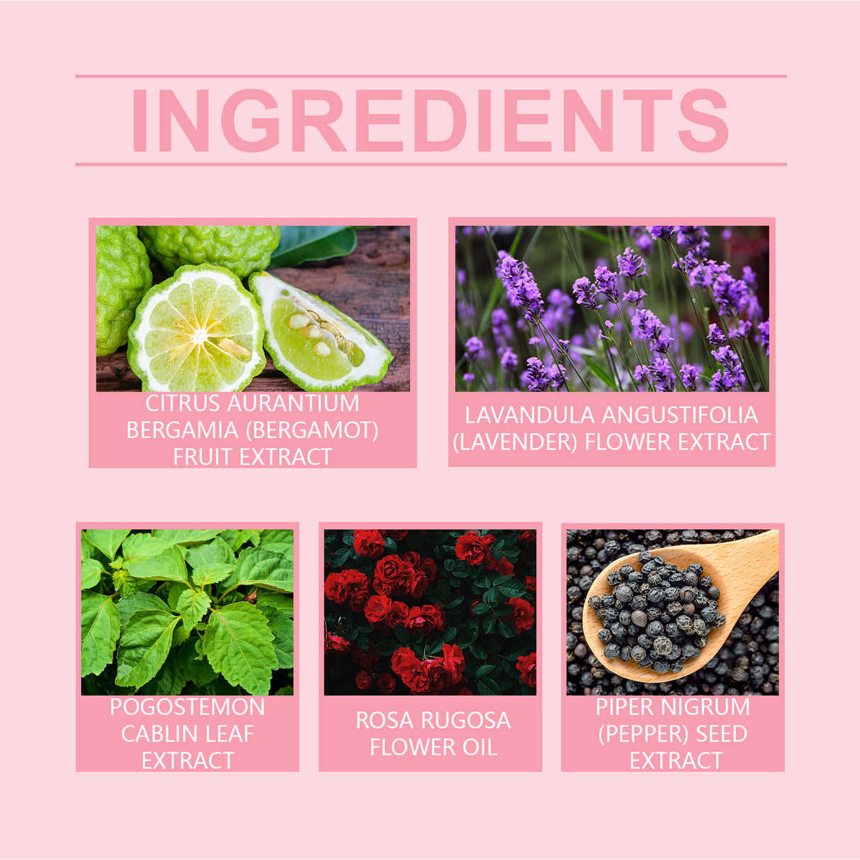 Fresh Perfume Bubble Bath, Holiday Eau De Toilette Lasting Fragrance Elegant Style To Highlight The Temperament And Fragrance - V.I.P Digital Presence