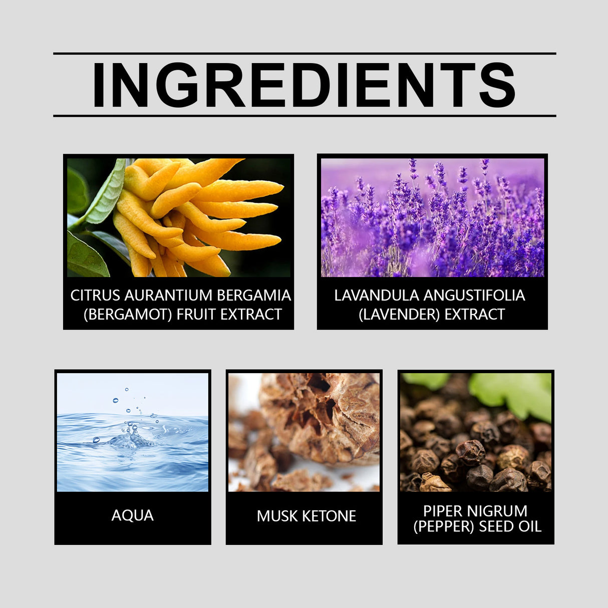 Strong Bergamot Perfume Perfume Lasting Fragrance Men Fresh And Natural Exudes Charm Niche Fragrance - V.I.P Digital Presence