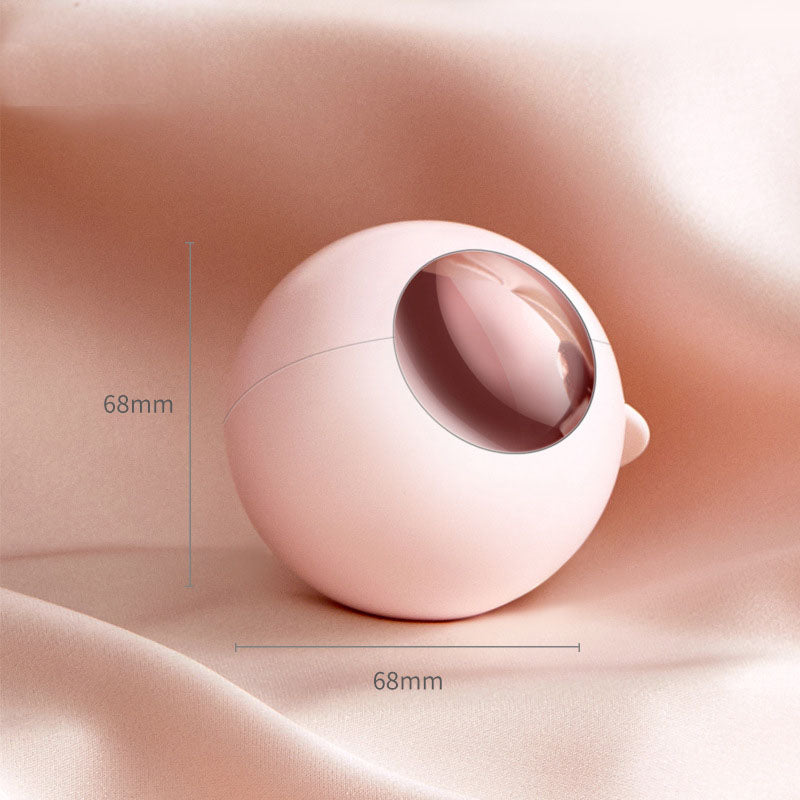 Light luxury and portable clothing hair sticking and brushing machine, washable with cover, business hair remover - V.I.P Digital Presence