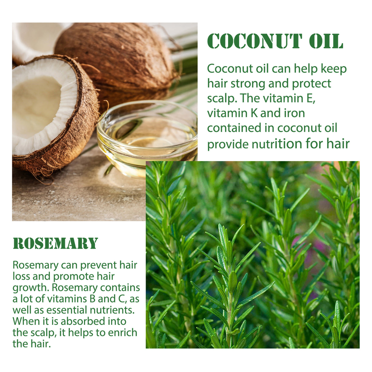 Rosemary Hair Dense Essential Oil, Prevent Hair Breakage And Hair Loss Strong, Strong And Solid Hair Moisturizing Root Dense Essential Oil - V.I.P Digital Presence