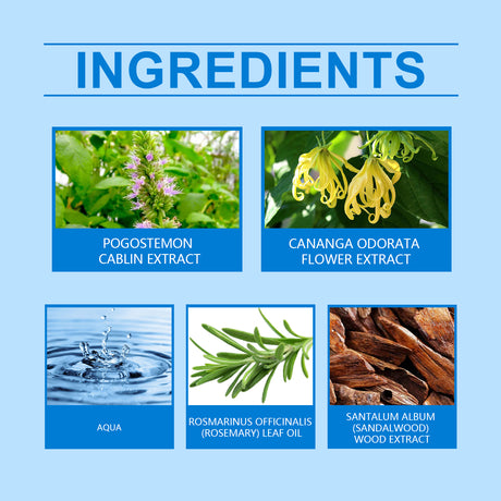 Men's fragrance, fresh charm Keep fragrance enhance charm portable cologne men's perfume - V.I.P Digital Presence