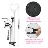 Kit de anillo de luz LED de 8 pulgadas para tutoriales de maquillaje, videos de YouTube, transmisión en vivo para iPad, micrófono, soporte para teléfono, anillo de luz de belleza para selfies.
