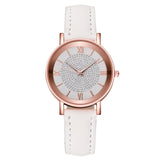 Luxury Watches Quartz  Watch Stainless Steel Dial Casual Bracele Watch - V.I.P Digital Presence