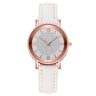 Luxury Watches Quartz  Watch Stainless Steel Dial Casual Bracele Watch - V.I.P Digital Presence