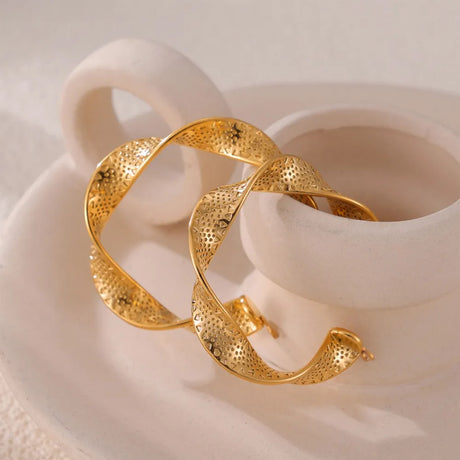 Titanium Steel Twisted Earrings - V.I.P Digital Presence