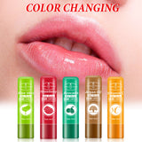 Fruit Essence Lip Balm Moisturizing Hydrating Anti-Chap 4g Lip Balm - V.I.P Digital Presence