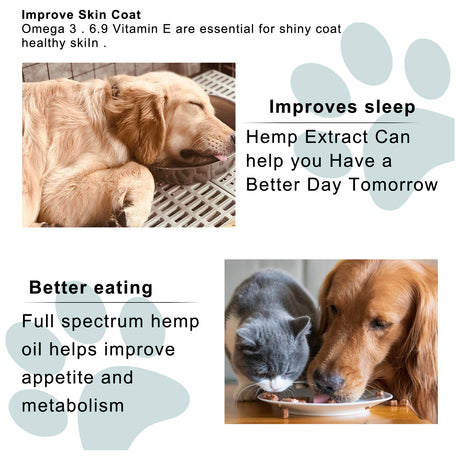 Pet Care Oil Pet Cat And Dog Body Care Topical Moisturizing Massage Repair Essential Oil - V.I.P Digital Presence