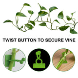 Plant Climbing Wall Holder, Household Vine Plant Wall Climbing Self-adhesive Retainer - V.I.P Digital Presence