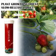 Plant Growth Nutrition Sustained-Release Tablet, Fruit And Vegetable Plant Pot Root Growth Universal Nutrition Tablet - V.I.P Digital Presence