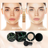 Moisture Cushion, Hides Facial Blemishes And Brighens Natural Nude Foundation Cream - V.I.P Digital Presence
